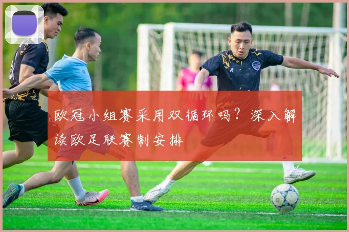 欧冠小组赛采用双循环吗?深入解读欧足联赛制安排