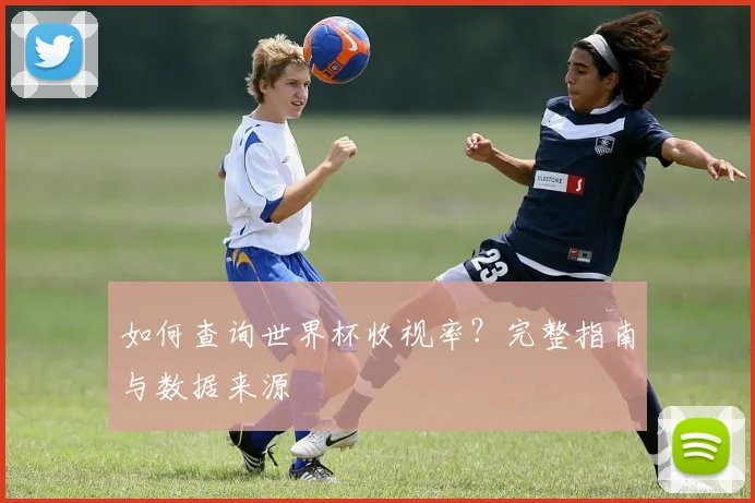 如何查询世界杯收视率？完整指南与数据来源