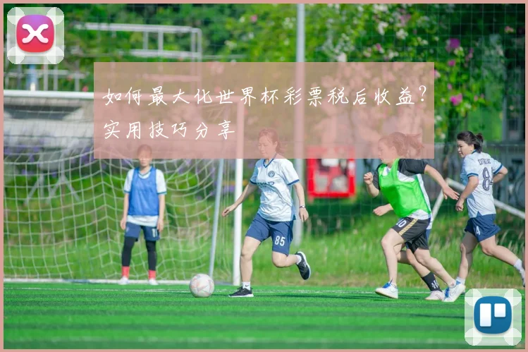 如何最大化世界杯彩票税后收益？实用技巧分享
