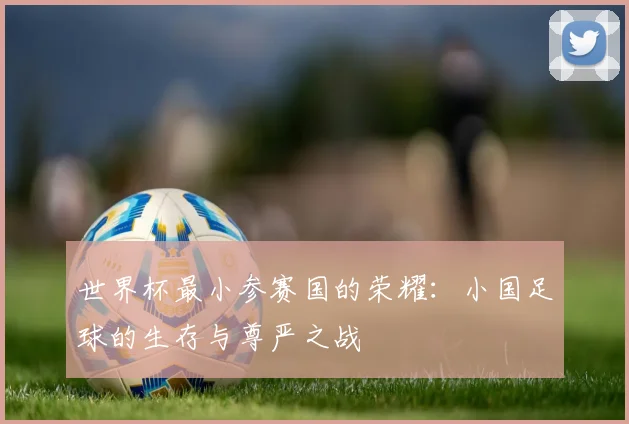 世界杯最小参赛国的荣耀:小国足球的生存与尊严之战