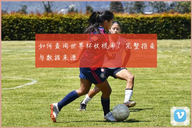 如何查询世界杯收视率？完整指南与数据来源
